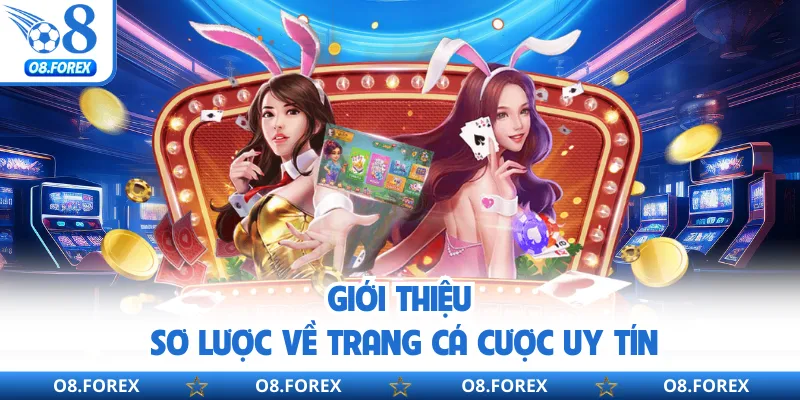 Giới thiệu sơ lược về trang cá cược uy tín
